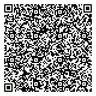vCard 79519920009