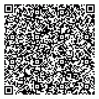 vCard 79519920040