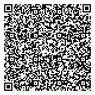 vCard 79519920079
