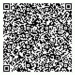 vCard 79519920087
