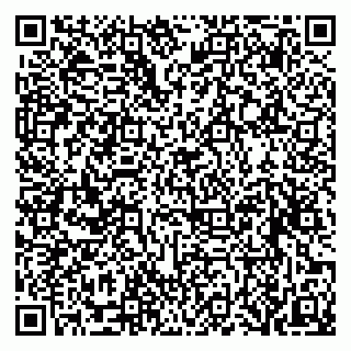 vCard 79519920138