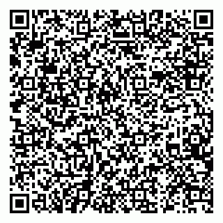 vCard 79519929138