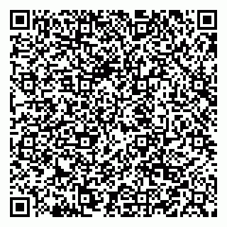 vCard 79519929234
