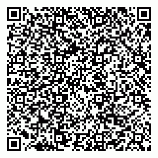 vCard 79519929240