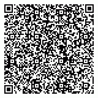 vCard 79519963891