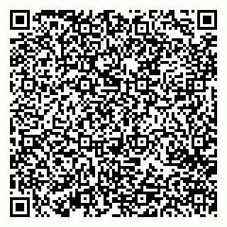 vCard 79520203739