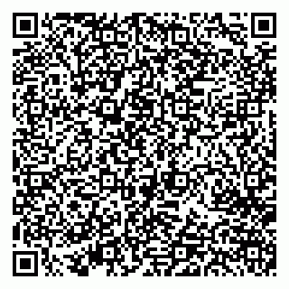 vCard 79520203839