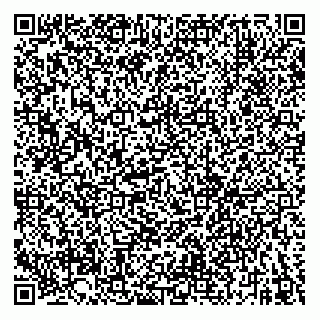 vCard 79520300101