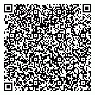 vCard 79520300132