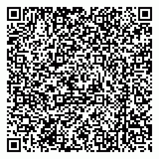 vCard 79520300211