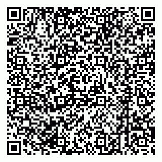 vCard 79520300307