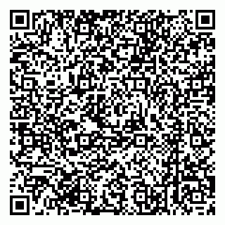 vCard 79520300381