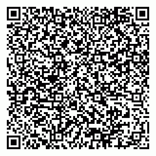 vCard 79521000399