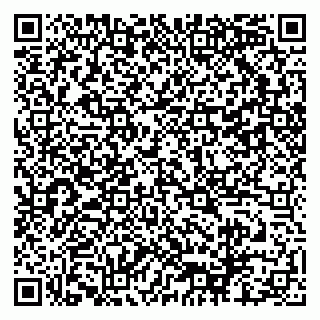 vCard 79521000539