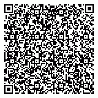 vCard 79521001294