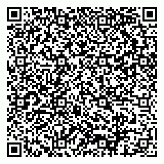 vCard 79521001539
