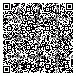vCard 79521503730