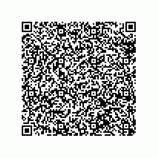 vCard 79523002010