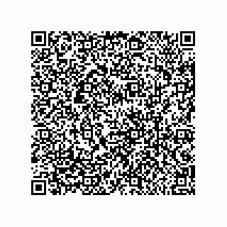 vCard 79523002939