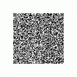 vCard 79523333334