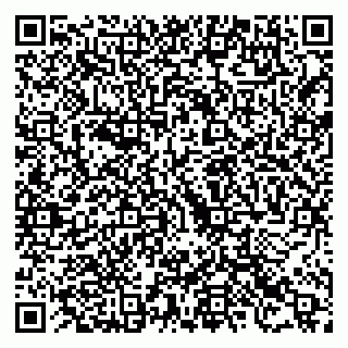 vCard 79523400221