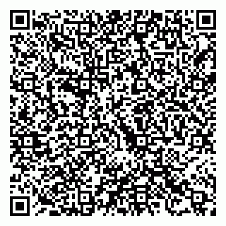 vCard 79523400294