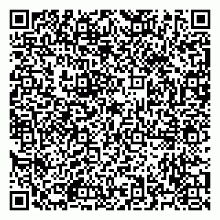 vCard 79523400317