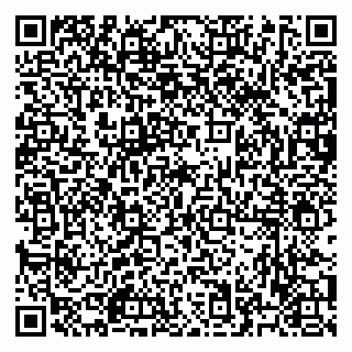 vCard 79523400333