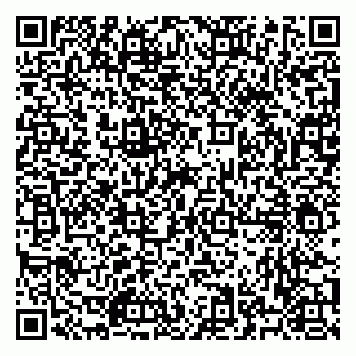 vCard 79523400353
