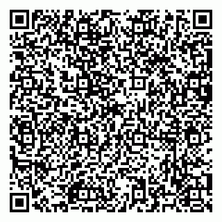 vCard 79523415132