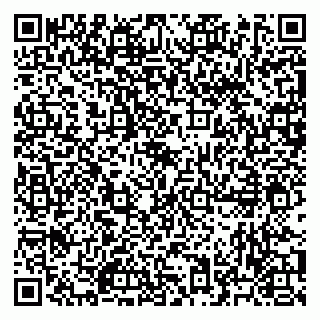 vCard 79523485013