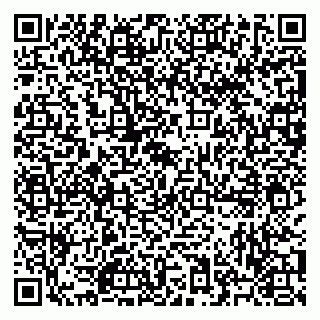vCard 79523485019