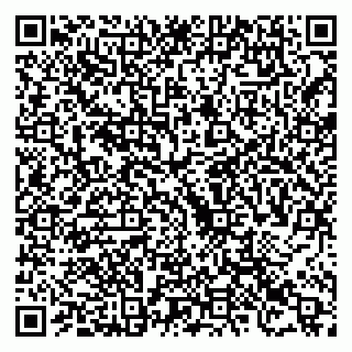 vCard 79523485131
