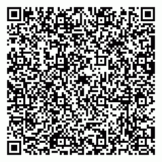 vCard 79523485231