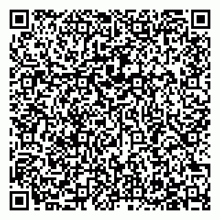 vCard 79523485331