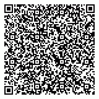 vCard 79523485337