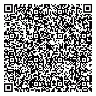 vCard 79523492173