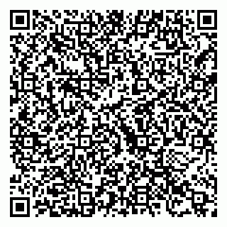 vCard 79523492521