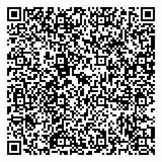 vCard 79523492993