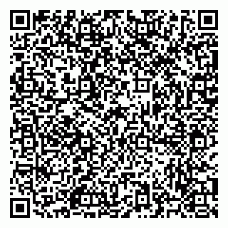 vCard 79523496349