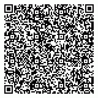 vCard 79523496497