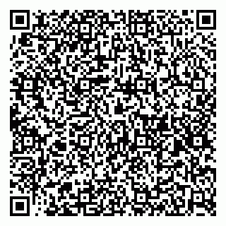 vCard 79524100321