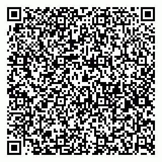 vCard 79524100397