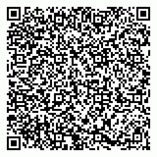 vCard 79526005314