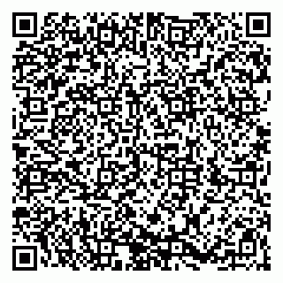vCard 79526008331