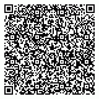 vCard 79526010378
