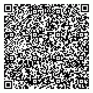 vCard 79526021384