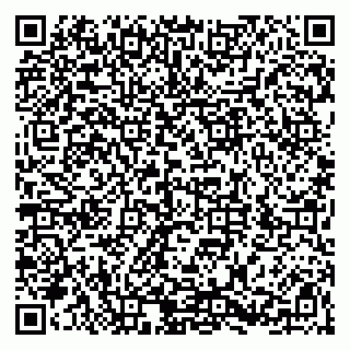 vCard 79526029313