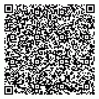 vCard 79526032729