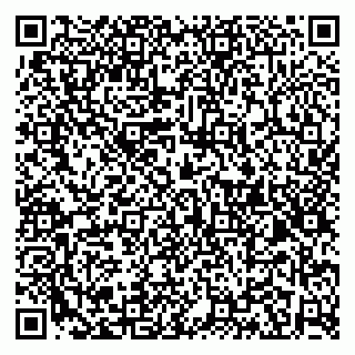 vCard 79526033199